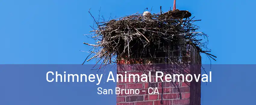 Chimney Animal Removal San Bruno - CA