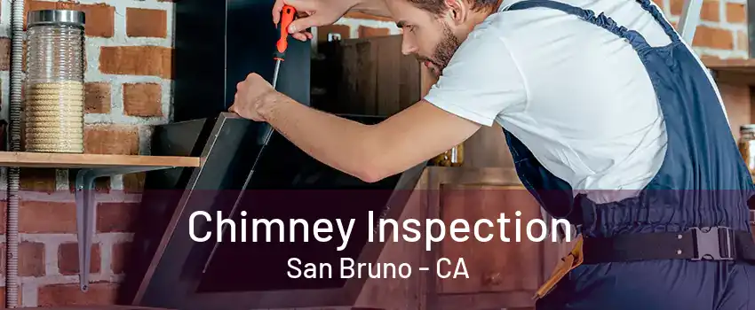 Chimney Inspection San Bruno - CA