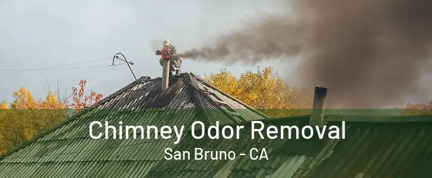 Chimney Odor Removal San Bruno - CA