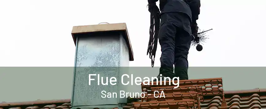 Flue Cleaning San Bruno - CA