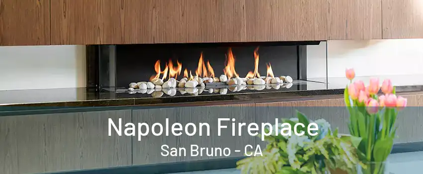 Napoleon Fireplace San Bruno - CA