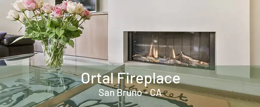 Ortal Fireplace San Bruno - CA